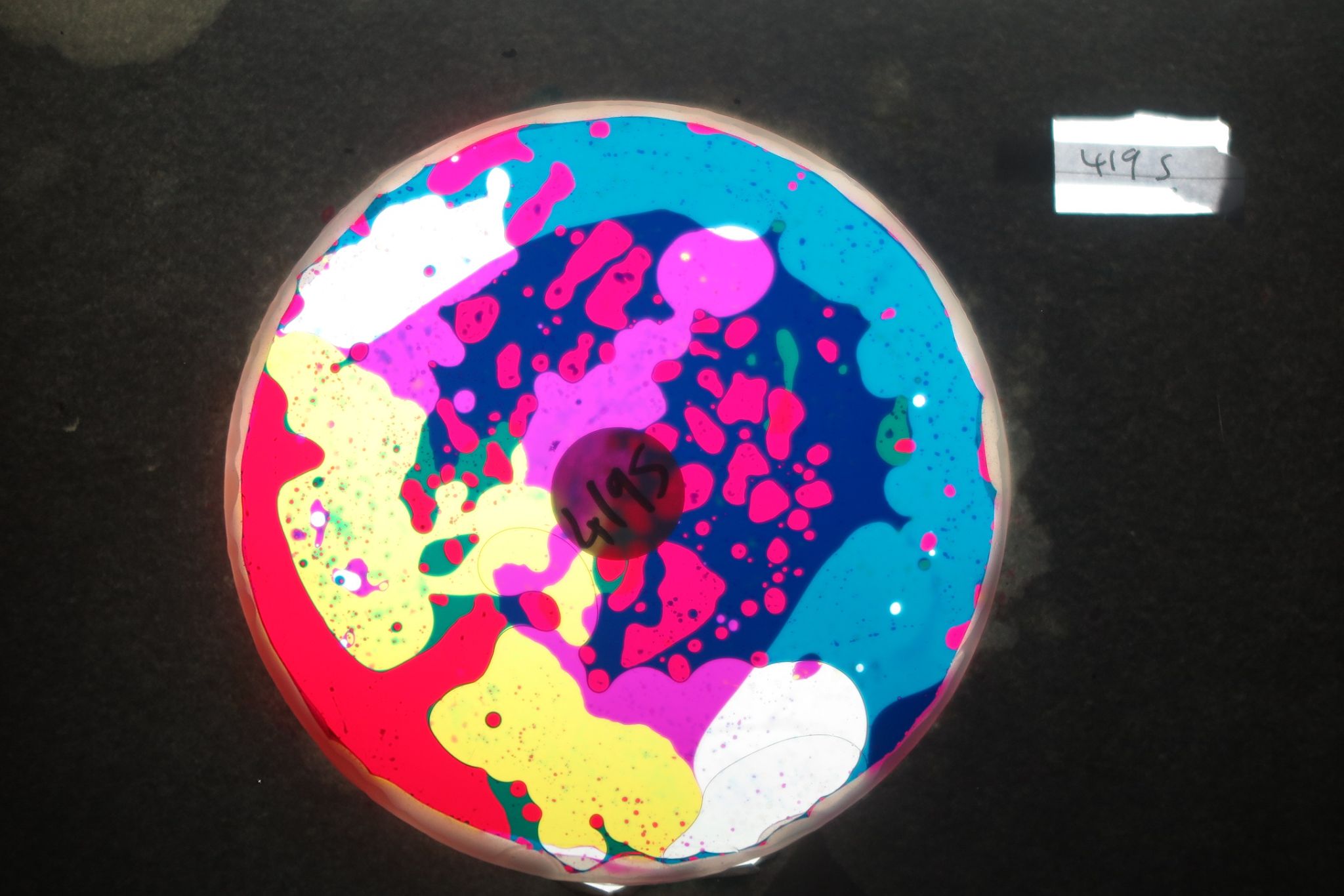 BV4195 bubble vision oil wheel